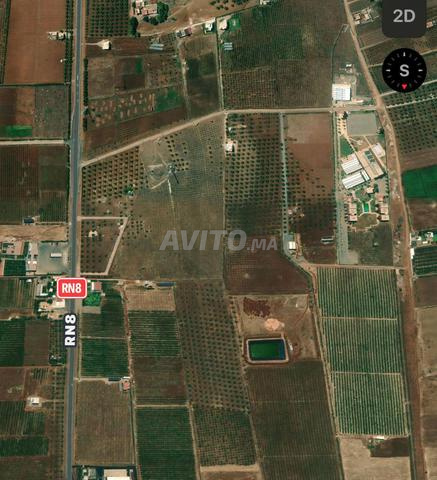 Terrain 5 hectares route imouzzer - 2