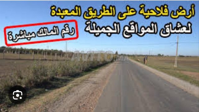 Terrain agricole sur route d'une superficie 1.5 ha