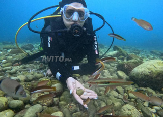 تجربة الغوص مذهلة