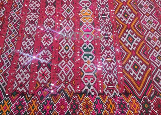 حنبل امازيغي اصيل 