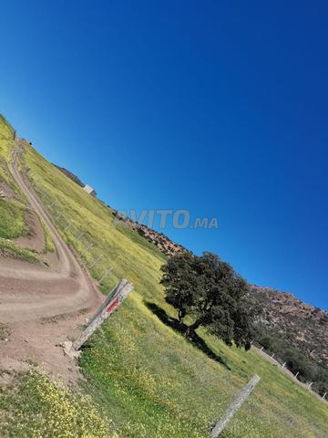 ارض فلاحية محفضة للبيع بسبت ايت رحو اقليم خنيفرة