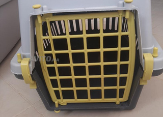 cages des chats 