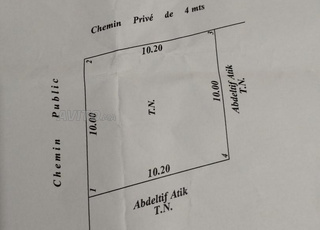 الشجيرات قريبة من حومة الواد