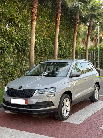 skoda karoq 2L