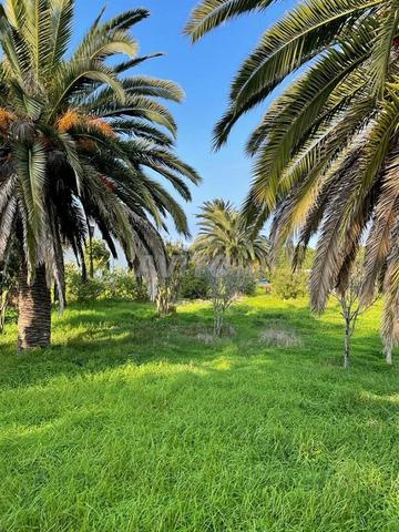 Grande et ancienne Vila à Jbel Kebir Tanger