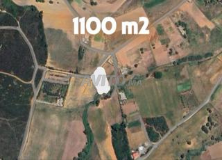 Terrain à vendre – 1100 m² – 290 DH/m² 