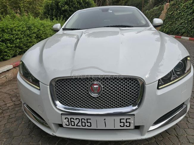 jaguar xf bon état 