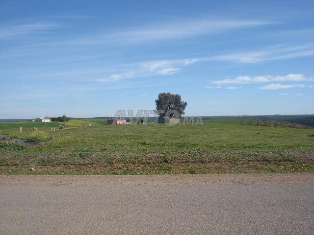 A vendre terrain ain laksab superficie 34440 m²