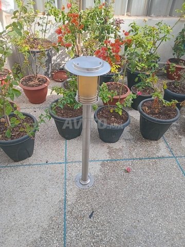12 lampadaire jardin inoxydable 