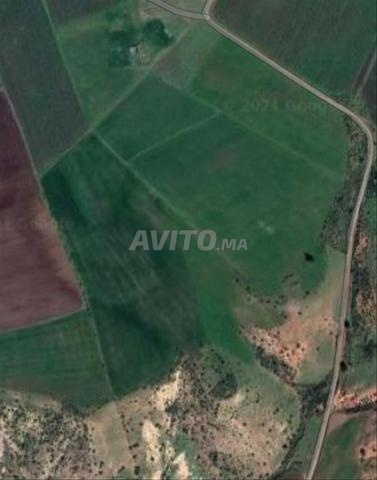 Belle opportunité pour investissement