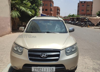 hyundai  santa fe 