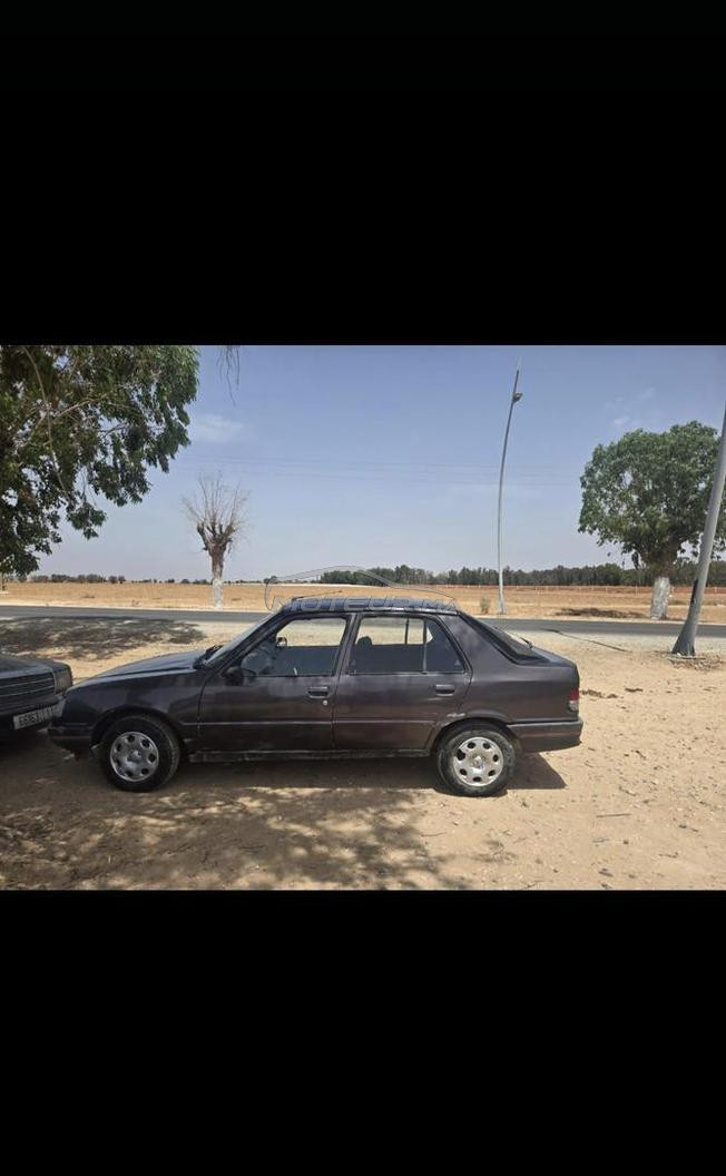 بيجو 309 
