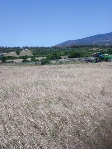 Terrain agricole à vendre sur la route près de Dar Chaoui, idéal - 2
