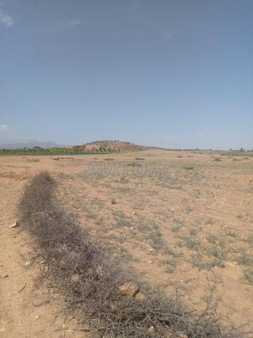 Terrain à vendre 4hectares - 2