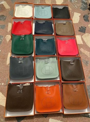 Sac Chic Hermès Evelyne en Couleurs HR5430