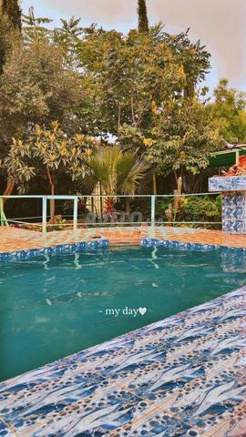 villa avec piscin a louer - 2