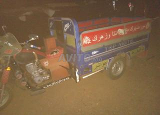 موطور طريبورطور