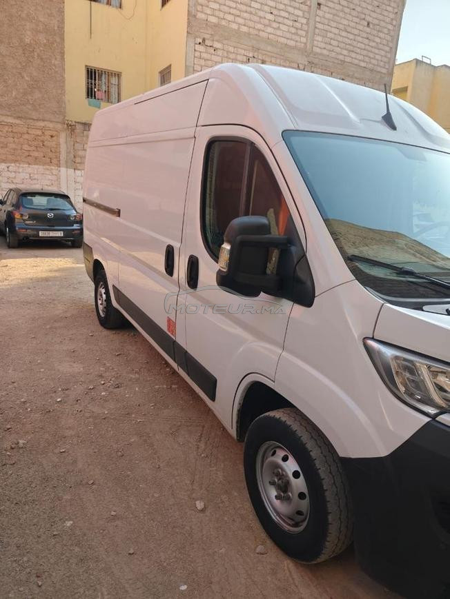 Fiat Ducato Diesel Manuelle 2021 à Fès