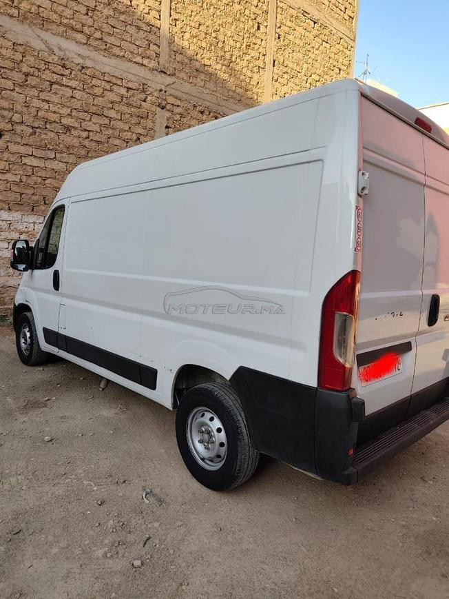 Fiat Ducato Diesel Manuelle 2021 à Fès