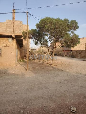 Maison à renover sur Kasbah Zawia de Ouled Bounaji - 2