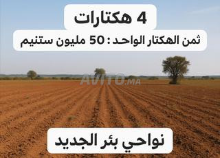 أرض فلاحية قانونية 4 هكتارات 