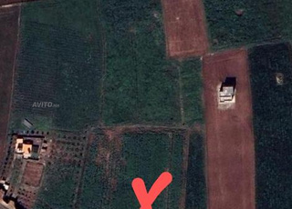 ارض فلاحية للبيع 