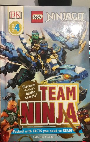LEGO Ninjago Livre Team Ninja Édition DK Niveau 4