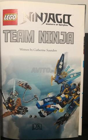 LEGO Ninjago Livre Team Ninja Édition DK Niveau Films, livres