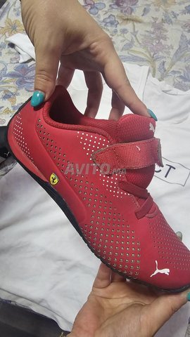 Puma Ferrari T36