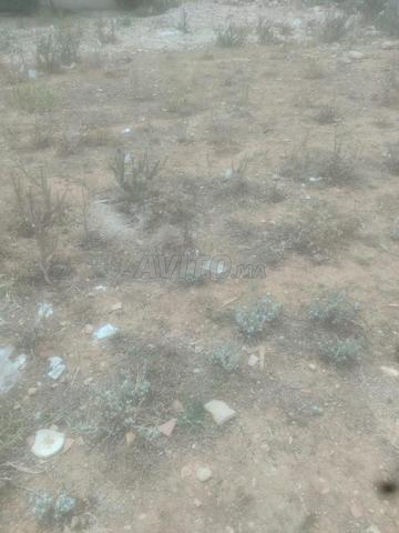 Terrain a vendre sur la ville de sbaa aiyoun.