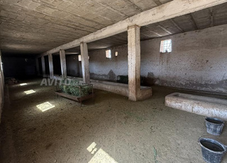 Ferme d’Exception de 11,750 Hectares avec Maison