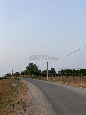 Terrain À vendre – Région d’Asilah - 2