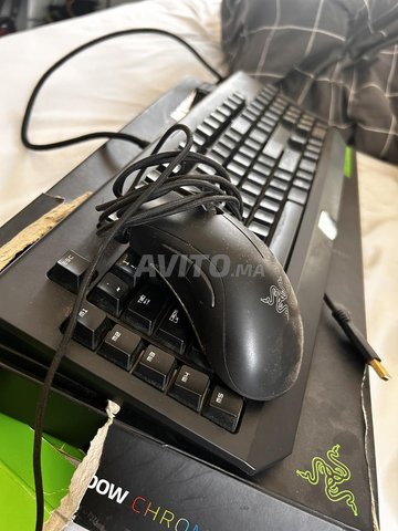 Souris razer Deathadder