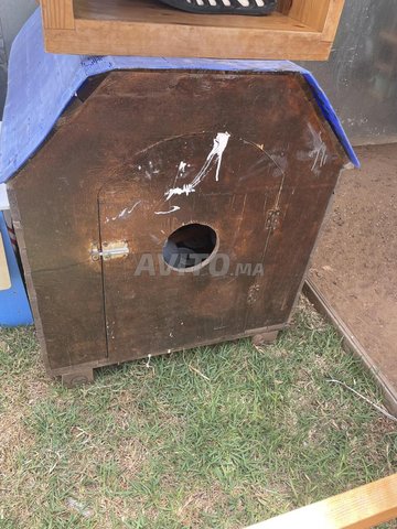 Vente niche de chien 