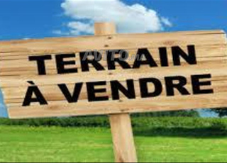 terrain a vendre 