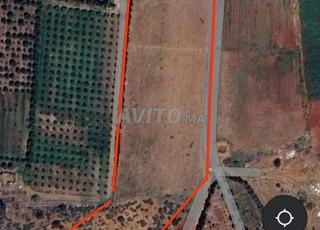 أرض فلاحية للبيع