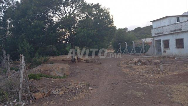 بقعتين للبيع المساحة 85متر وكاينة 170