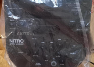 Batterie electrique alesis