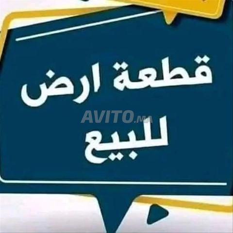 عدة بقع تيتر المساحة من 136 إلى 3000م ع. عين الشق