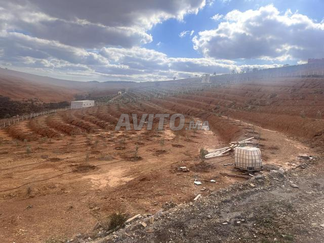 Ferme de 2,5 H avec villa ET Piscine