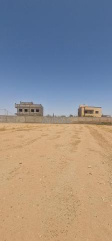 أرض 1400م² صفر بيس 30 دقيقة من وسط المدينة