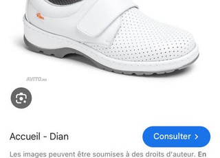 Chaussure securite diane sanitaire