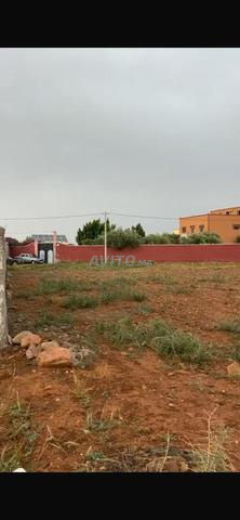 Jolie terrain de 6200M  route d’amizmiz 