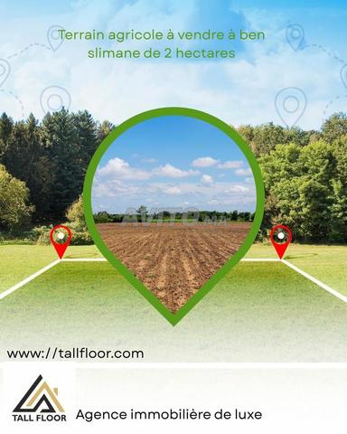 🌾 Terrain Agricole à Vendre – Opportunité Rare