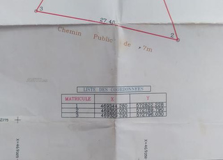 ارض للبيع الشجيرات 