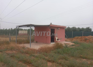 فيرما للبيع فيها بيت و طيراس والبير فيه الماء