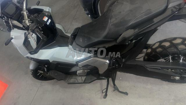 XADV 2024