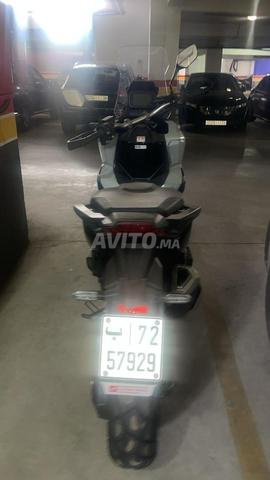 XADV 2024