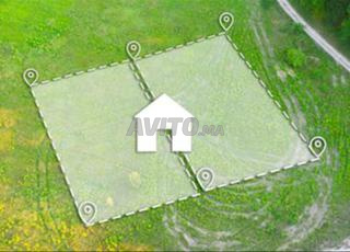 teran 80m tjariya Adrr