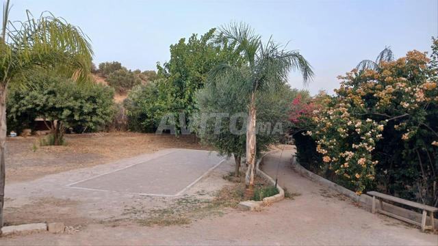 MAISON DE CAMPAGNE AU PIED DU ZERHOUN - 2